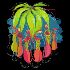 Pitcher Colour - T-shirt Back Design