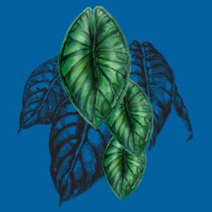 Anthurium - T-shirt Back Design
