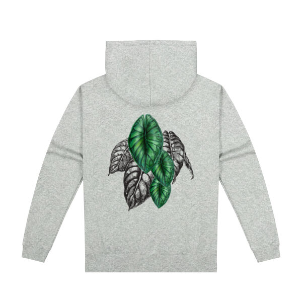 Anthurium Jersey  Thumbnail