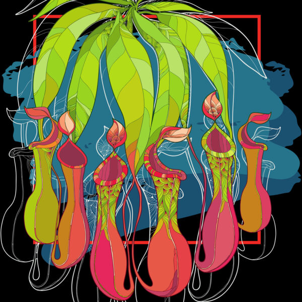 Pitcher Colour - T-shirt Back Thumbnail