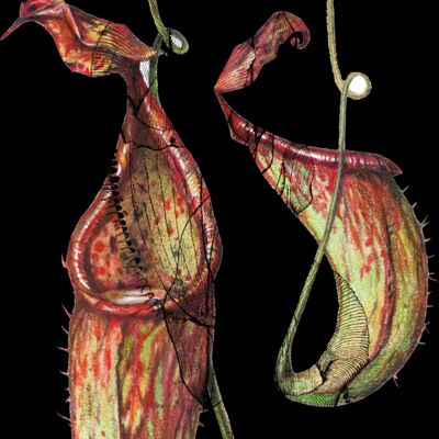 Untitled design  48  Thumbnail